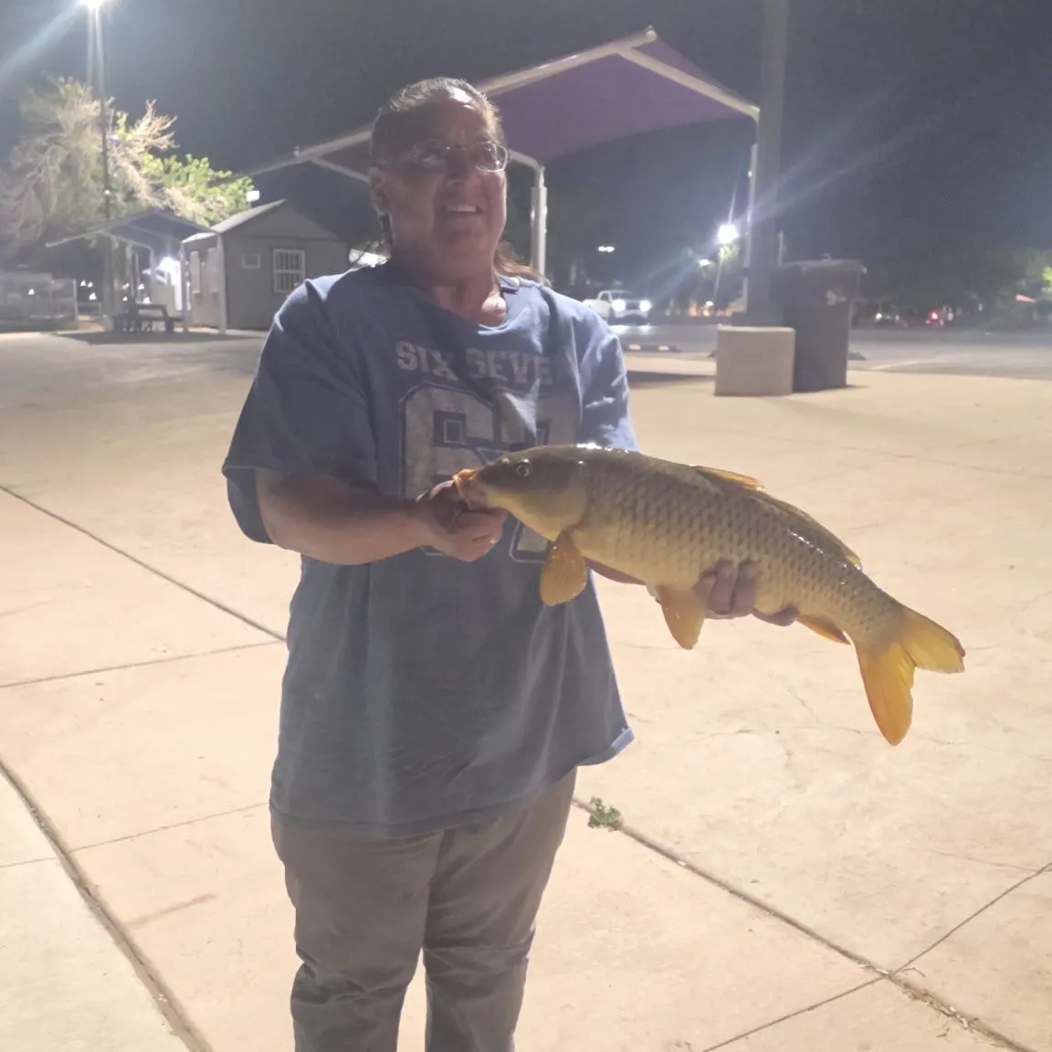 Common carp caught on Fishbrain