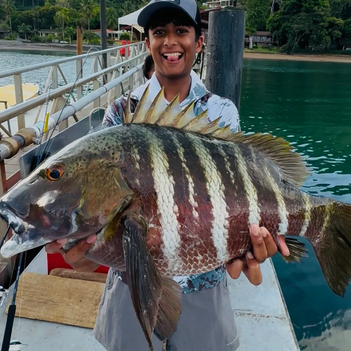 The most recent Mexican barred snapper catches on Fishbrain