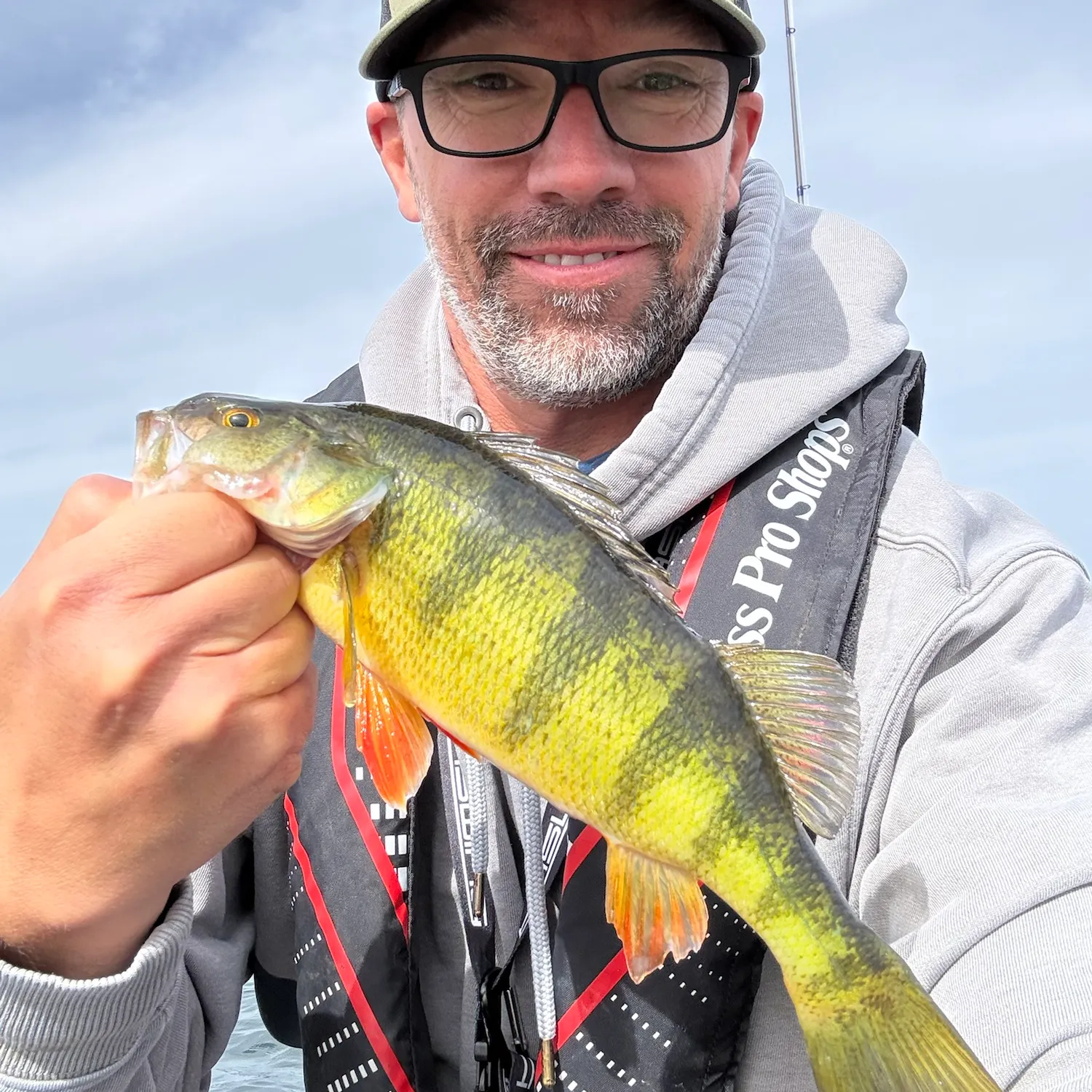 Yellow perch caught on Fishbrain