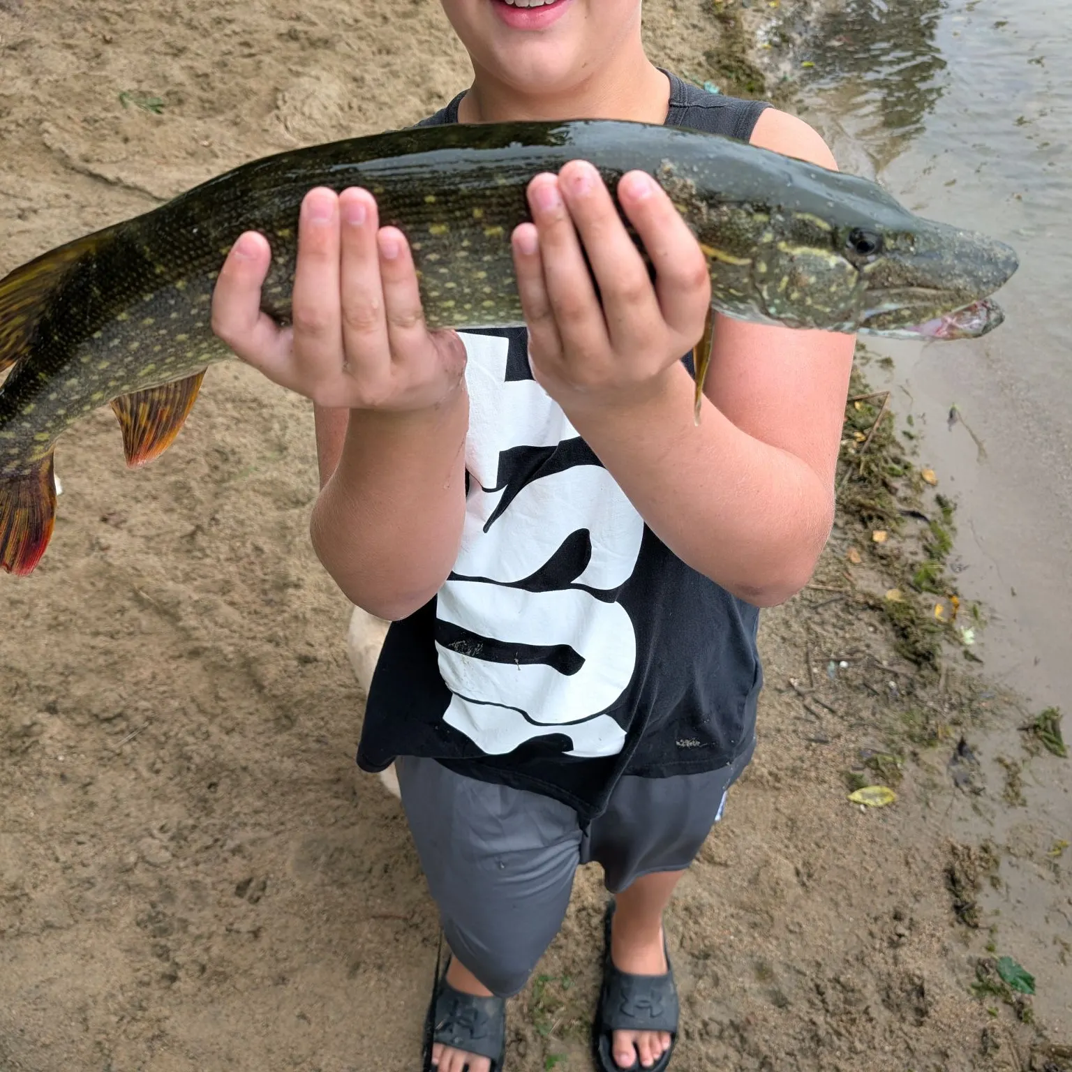 Northern pike caught on Fishbrain