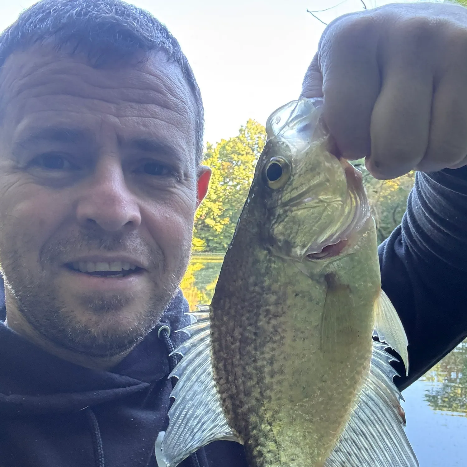 Black crappie caught on Fishbrain