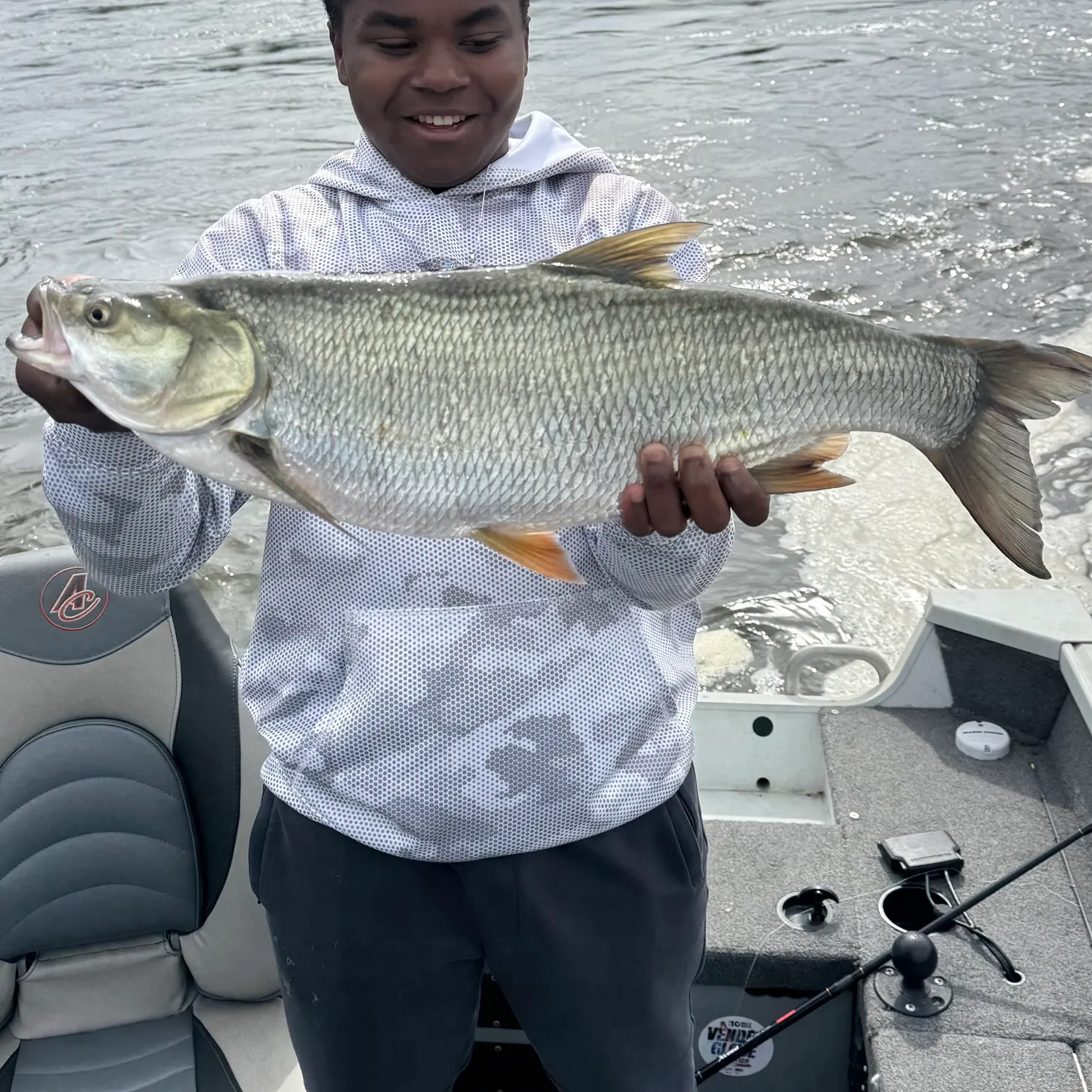 Asp caught on Fishbrain