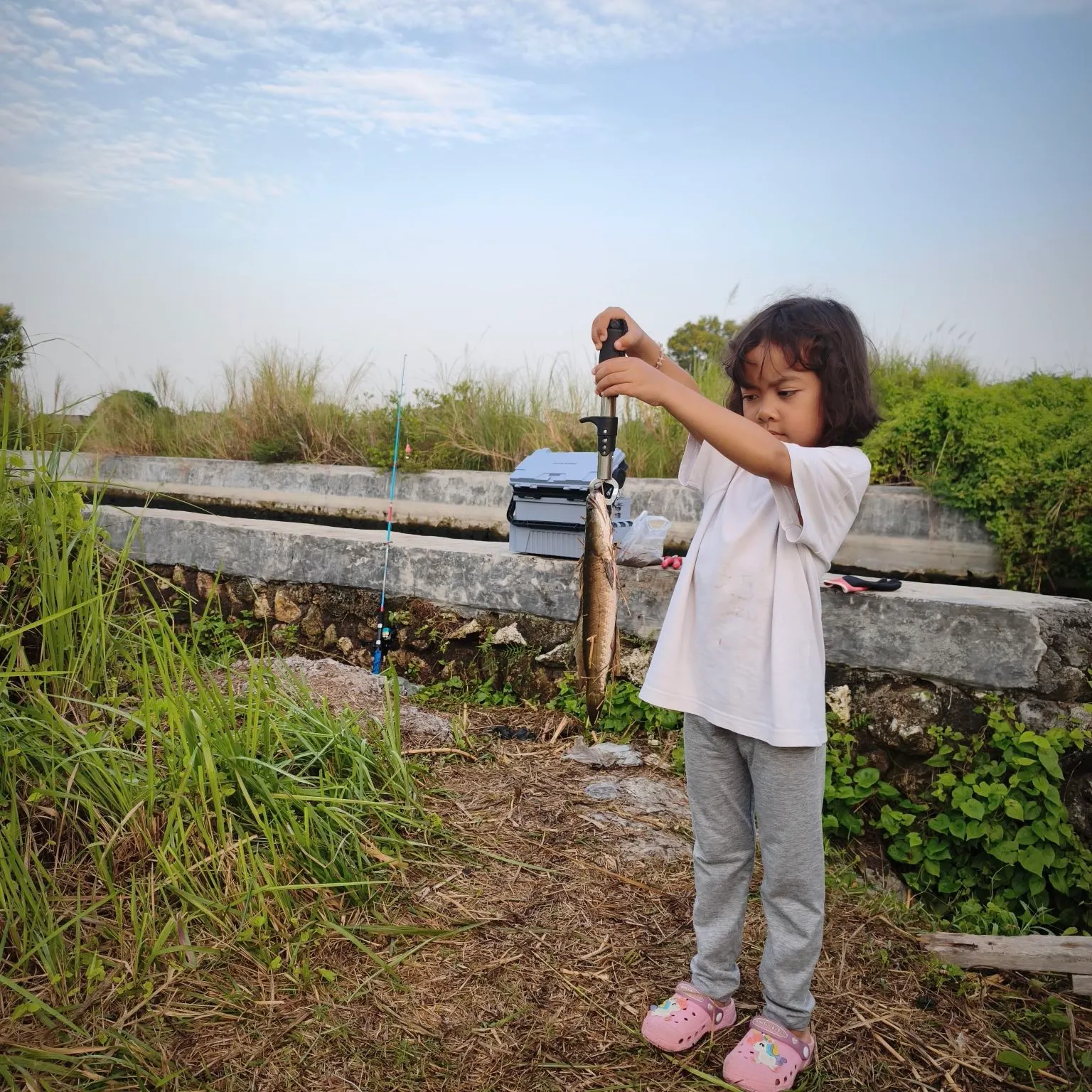 The most recent Striped snakehead catches on Fishbrain