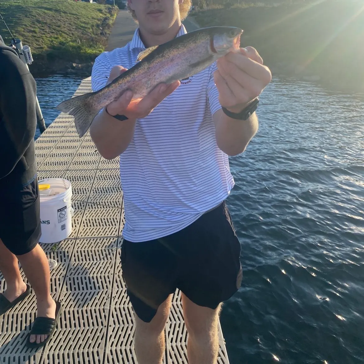 Rainbow trout caught on Fishbrain