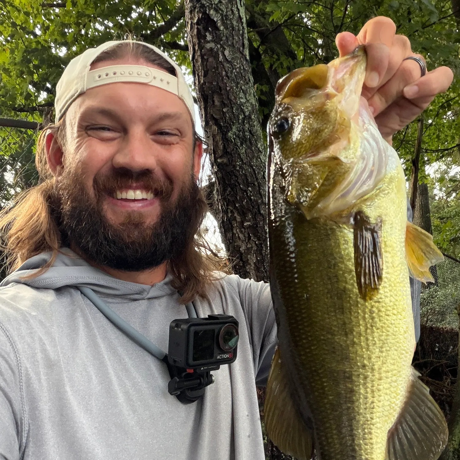 Largemouth bass caught on Fishbrain