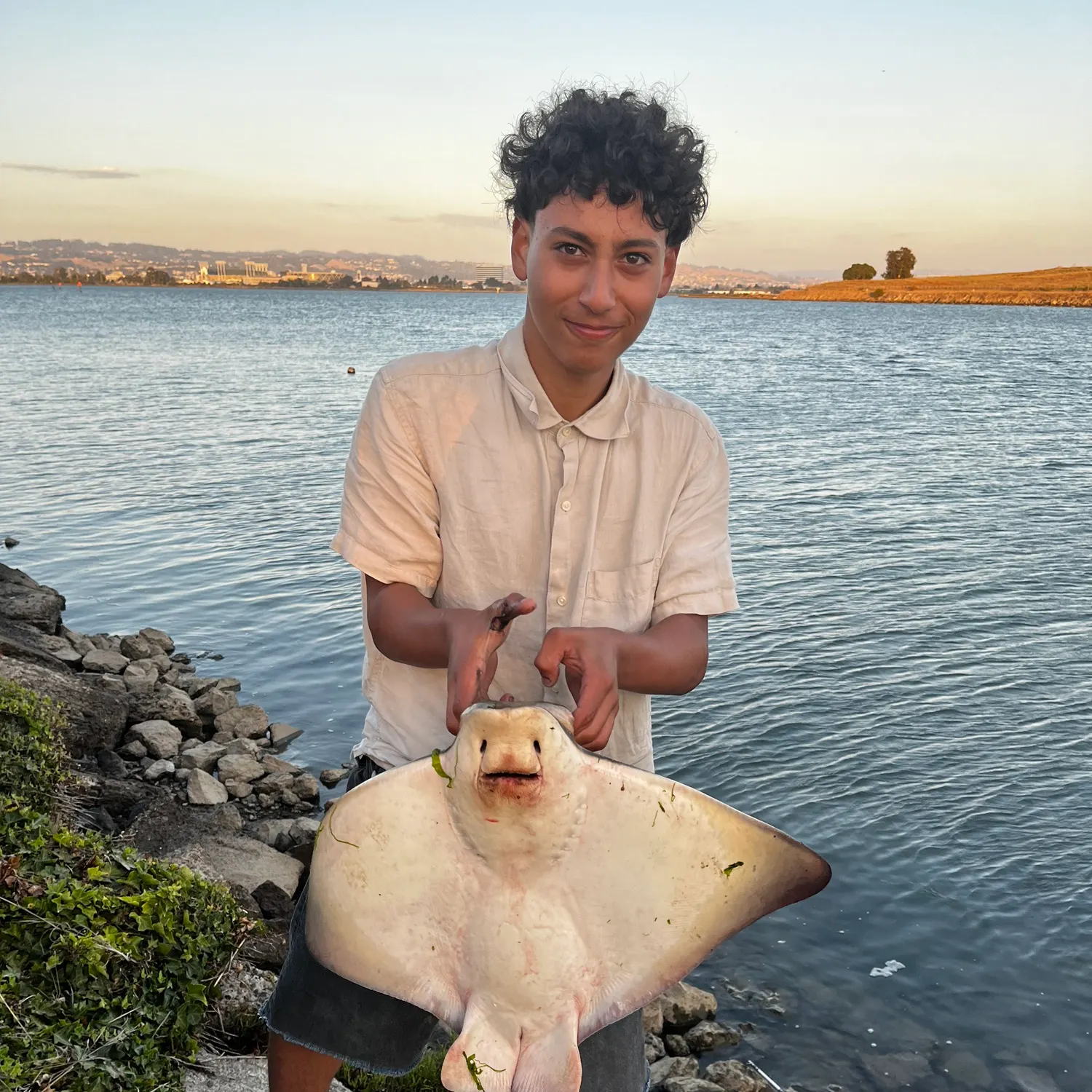The most recent Bat eagle ray catches on Fishbrain