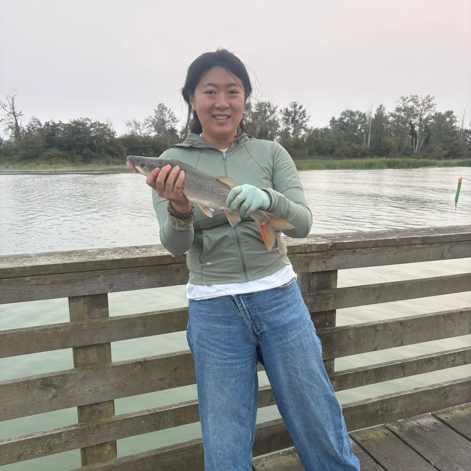 Northern pikeminnow caught on Fishbrain