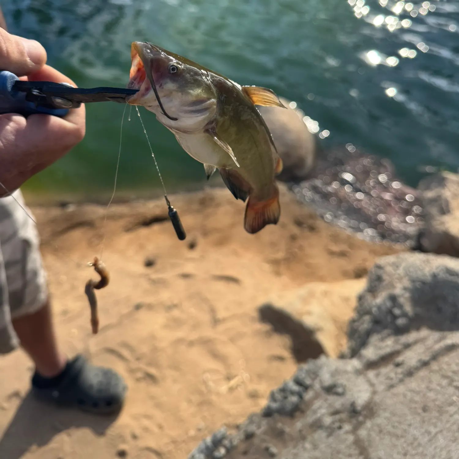 catch