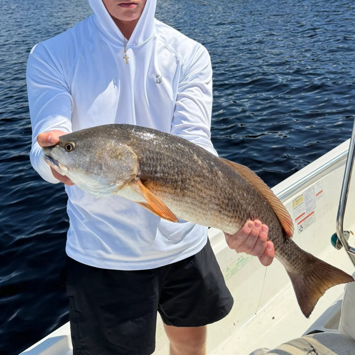 Red drum caught on Fishbrain