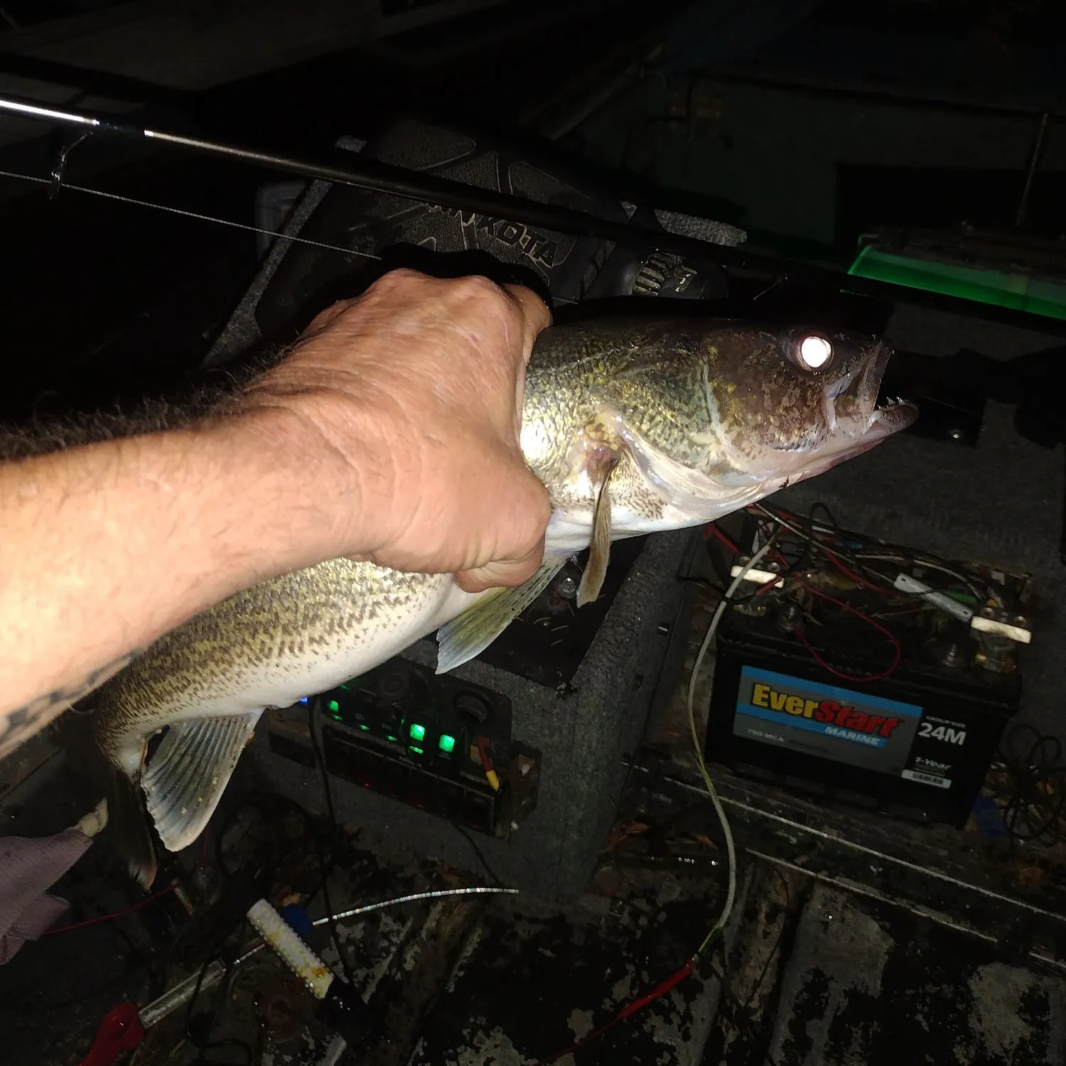 recently logged catches