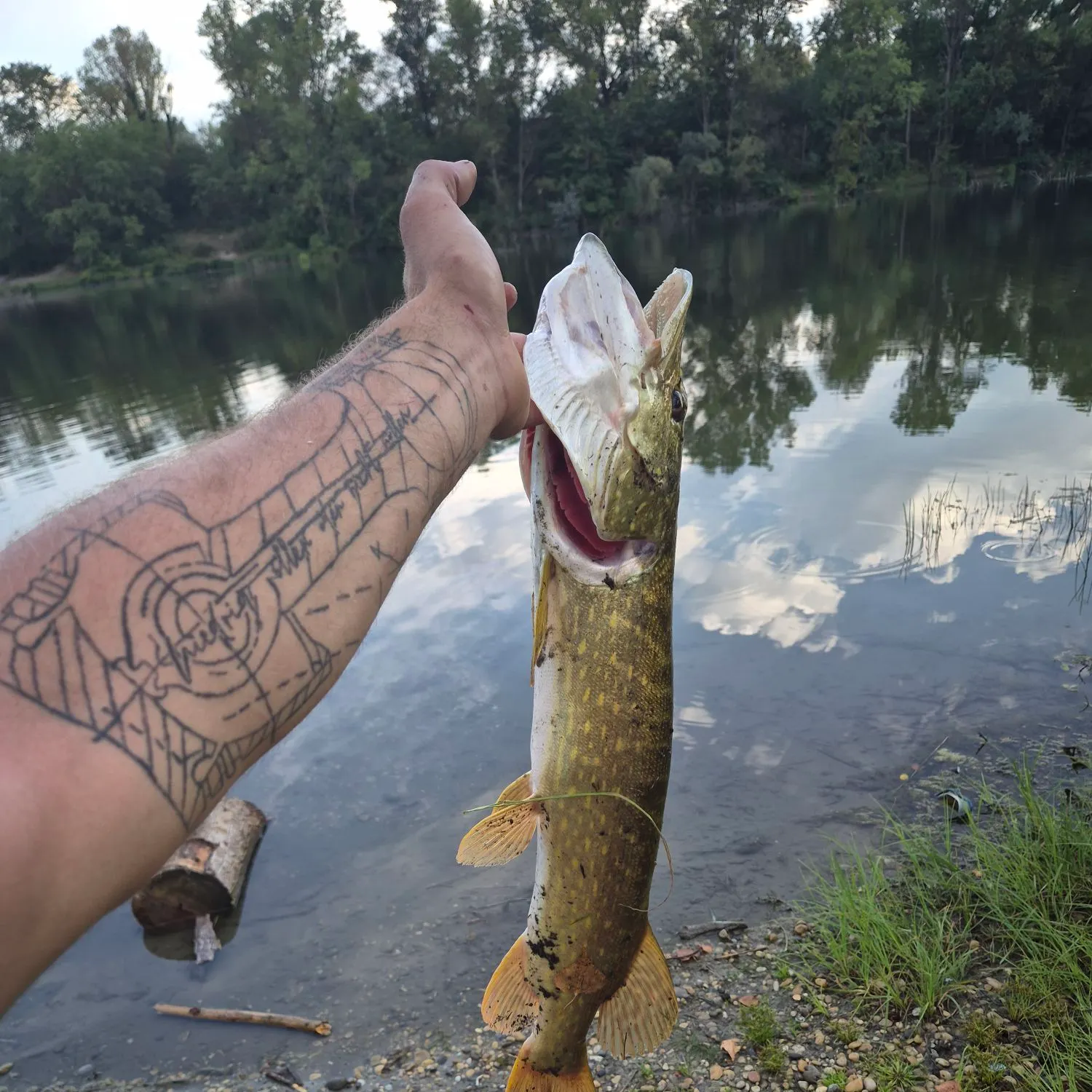 catch