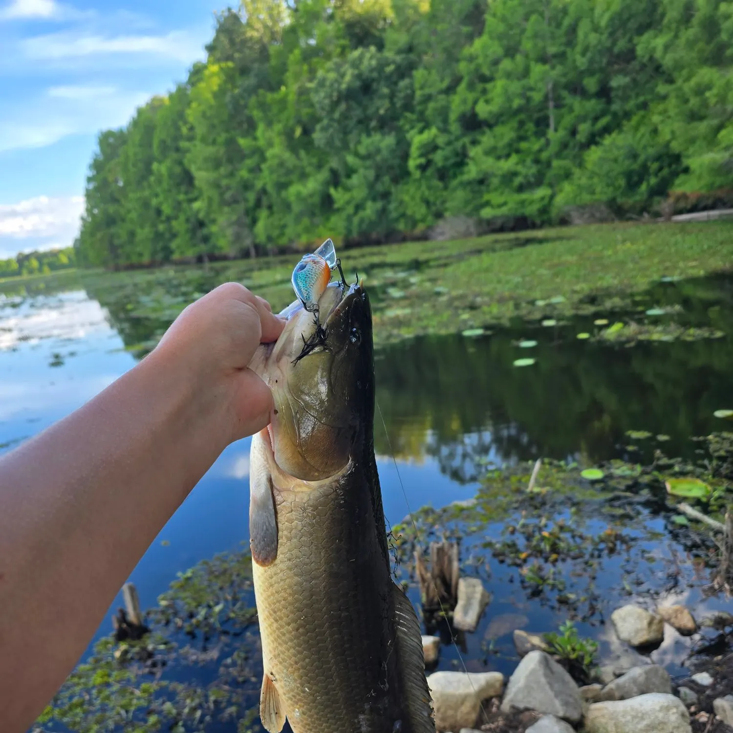 catch