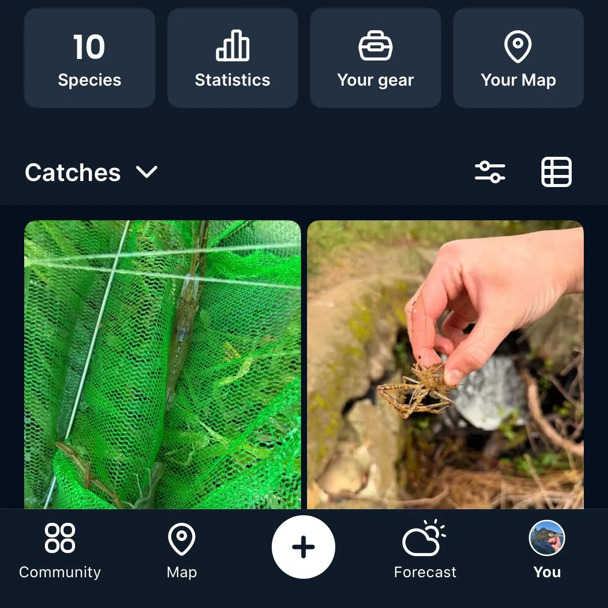 recently logged catches