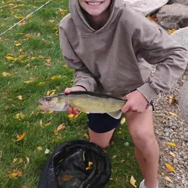 Walleye caught on Fishbrain
