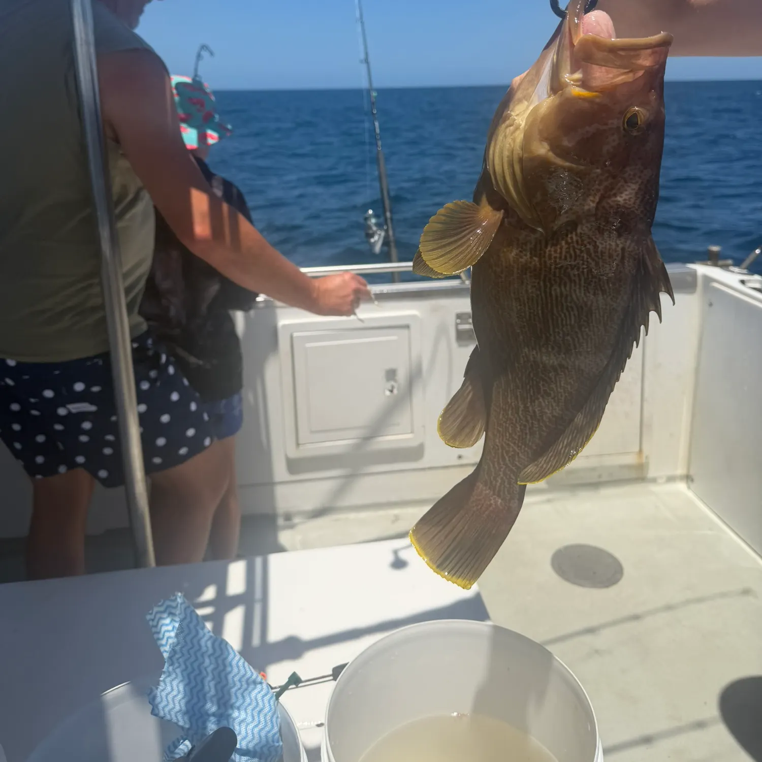 The most recent Malabar grouper catches on Fishbrain