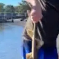 The most recent Port Jackson shark catches on Fishbrain