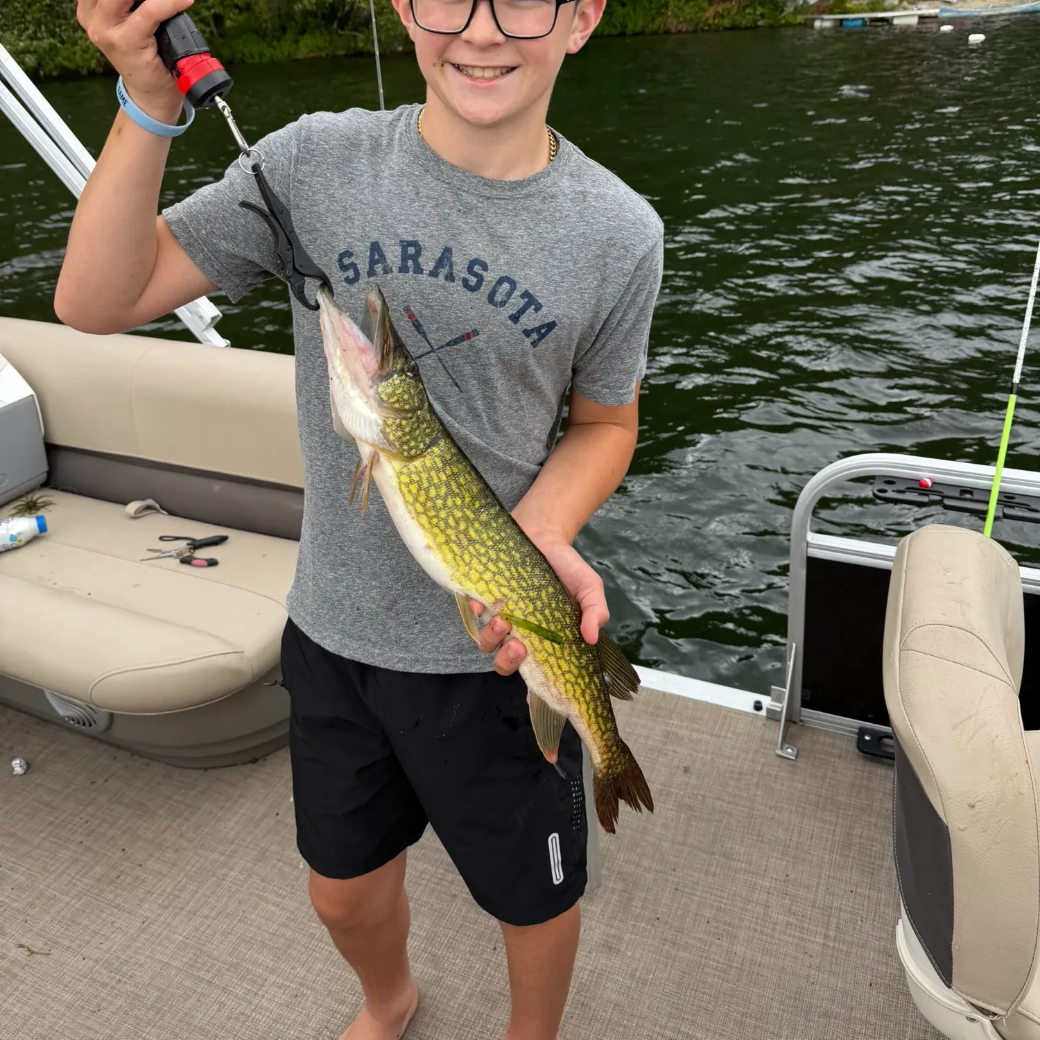 Chain pickerel caught on Fishbrain