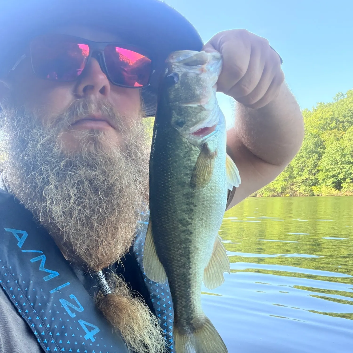 Largemouth bass caught on Fishbrain