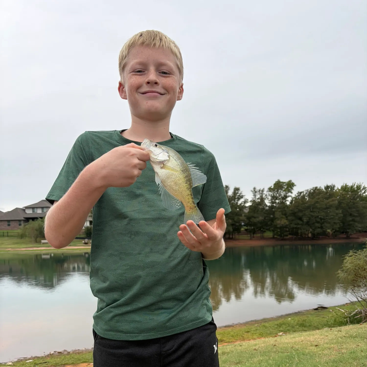 White crappie caught on Fishbrain