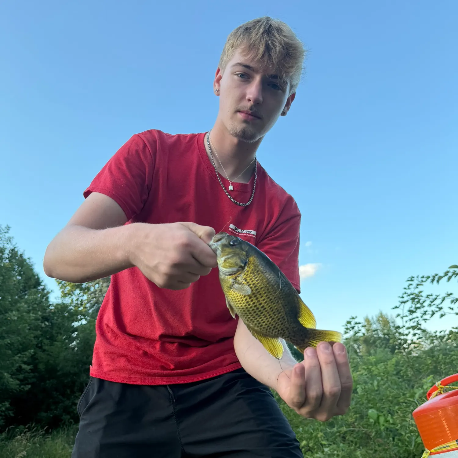 catch
