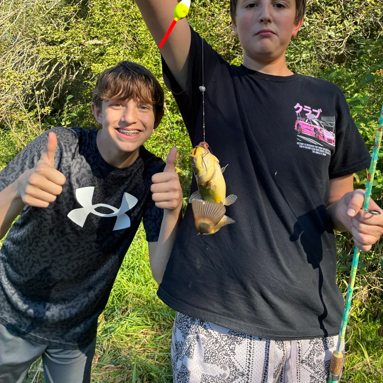 Yellow bullhead caught on Fishbrain