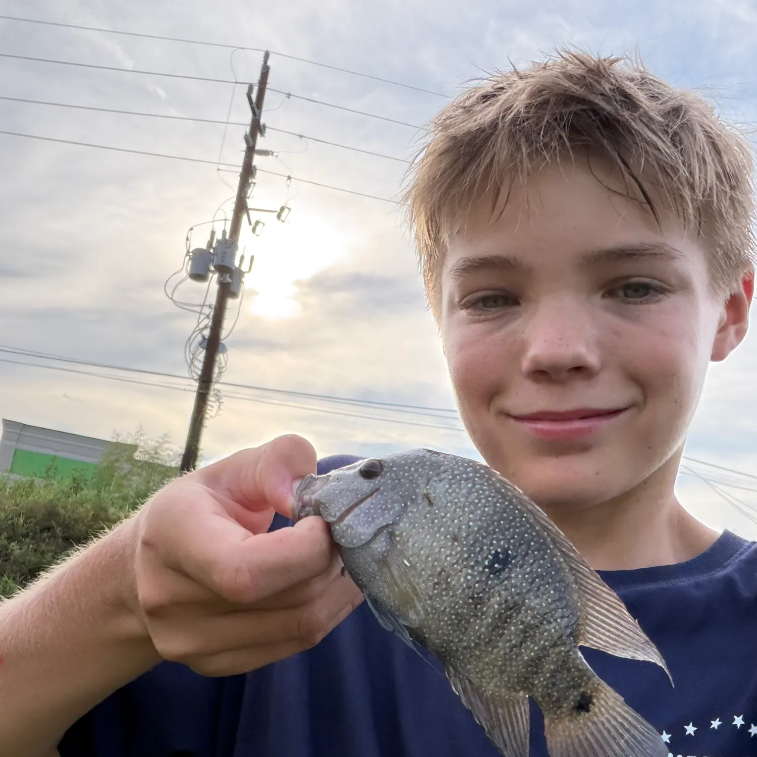 Fish caught on Fishbrain