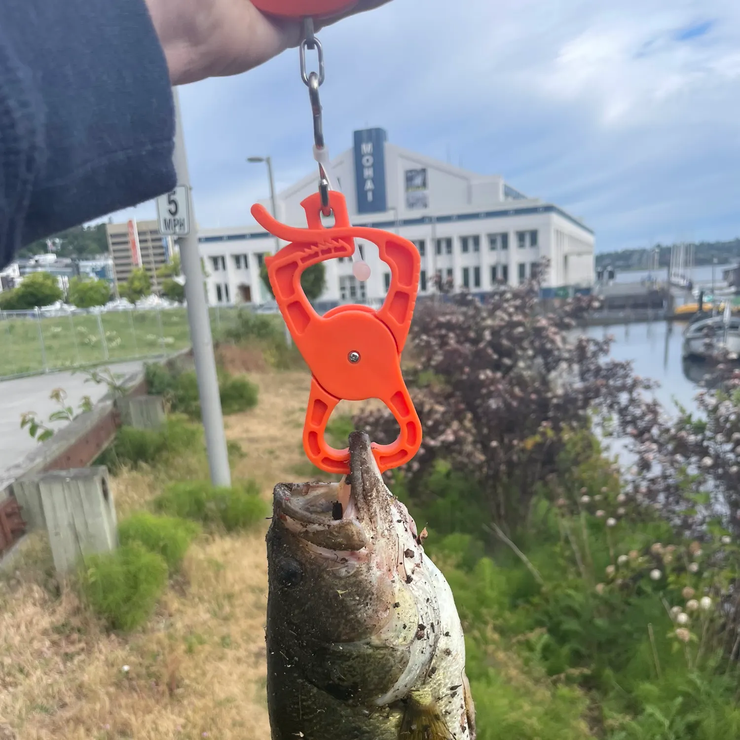 catch