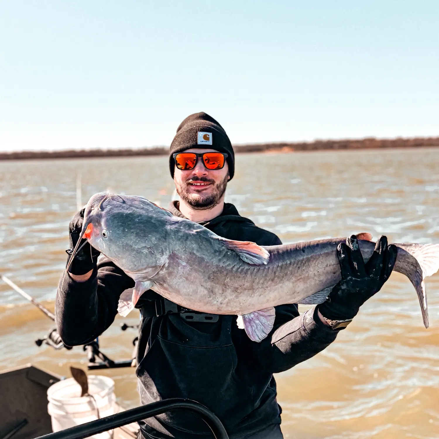 The most recent Blue catfish catches on Fishbrain