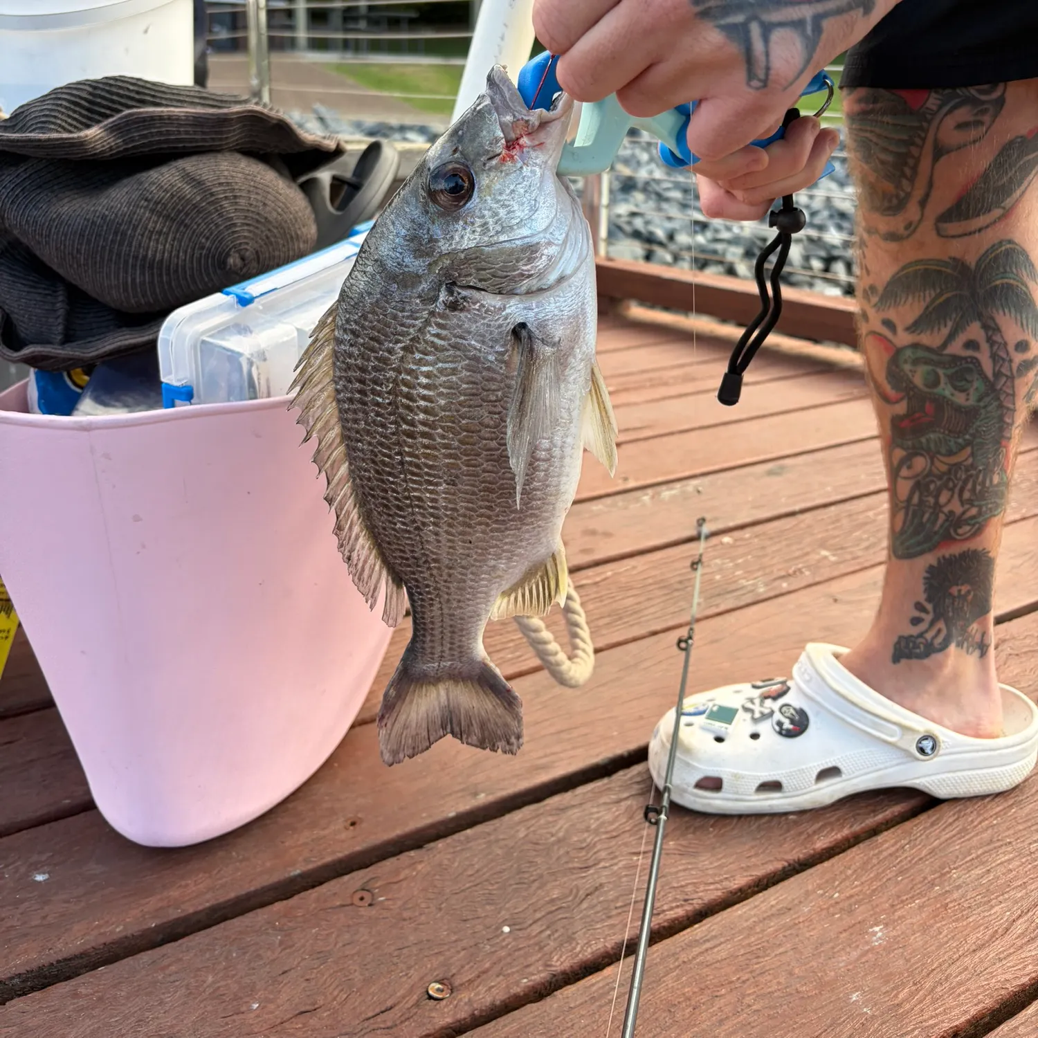 catch