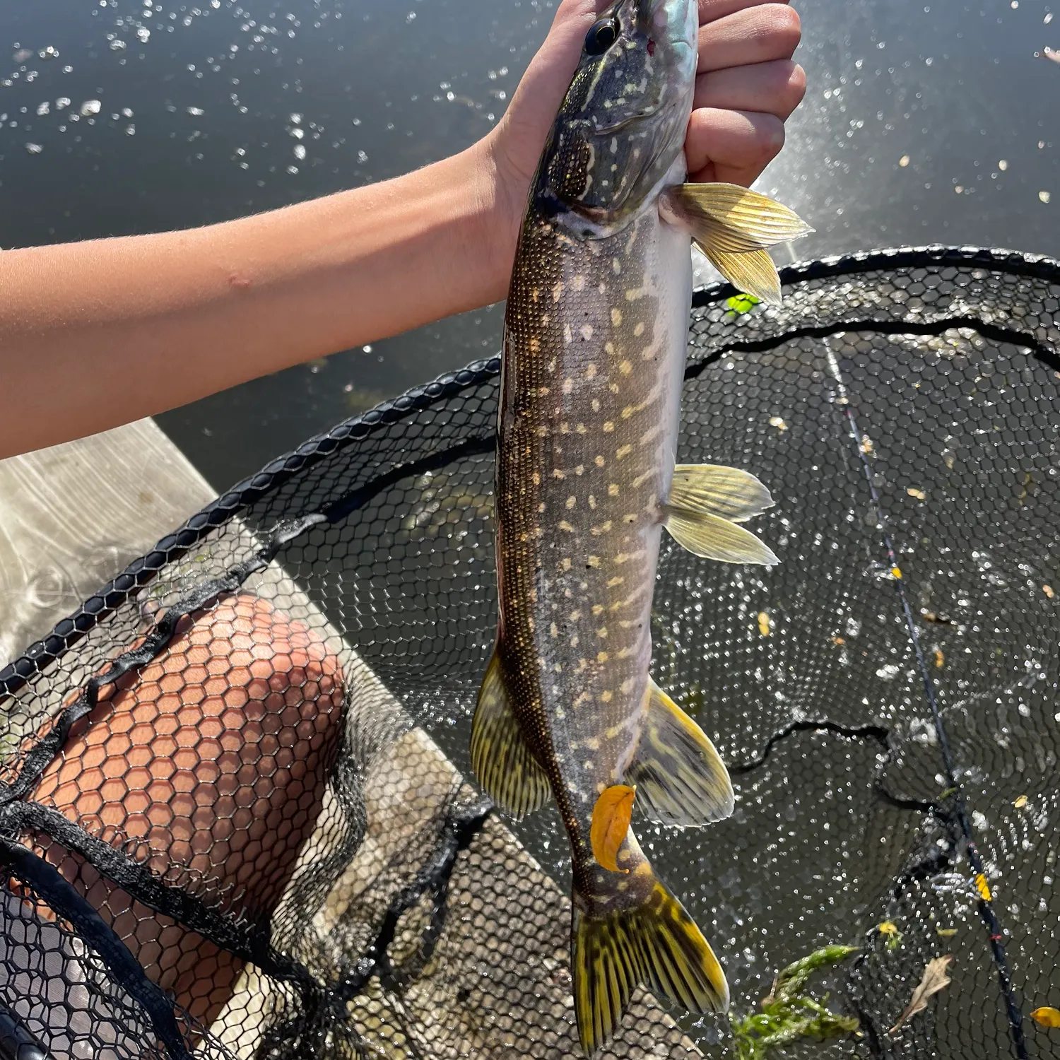 catch
