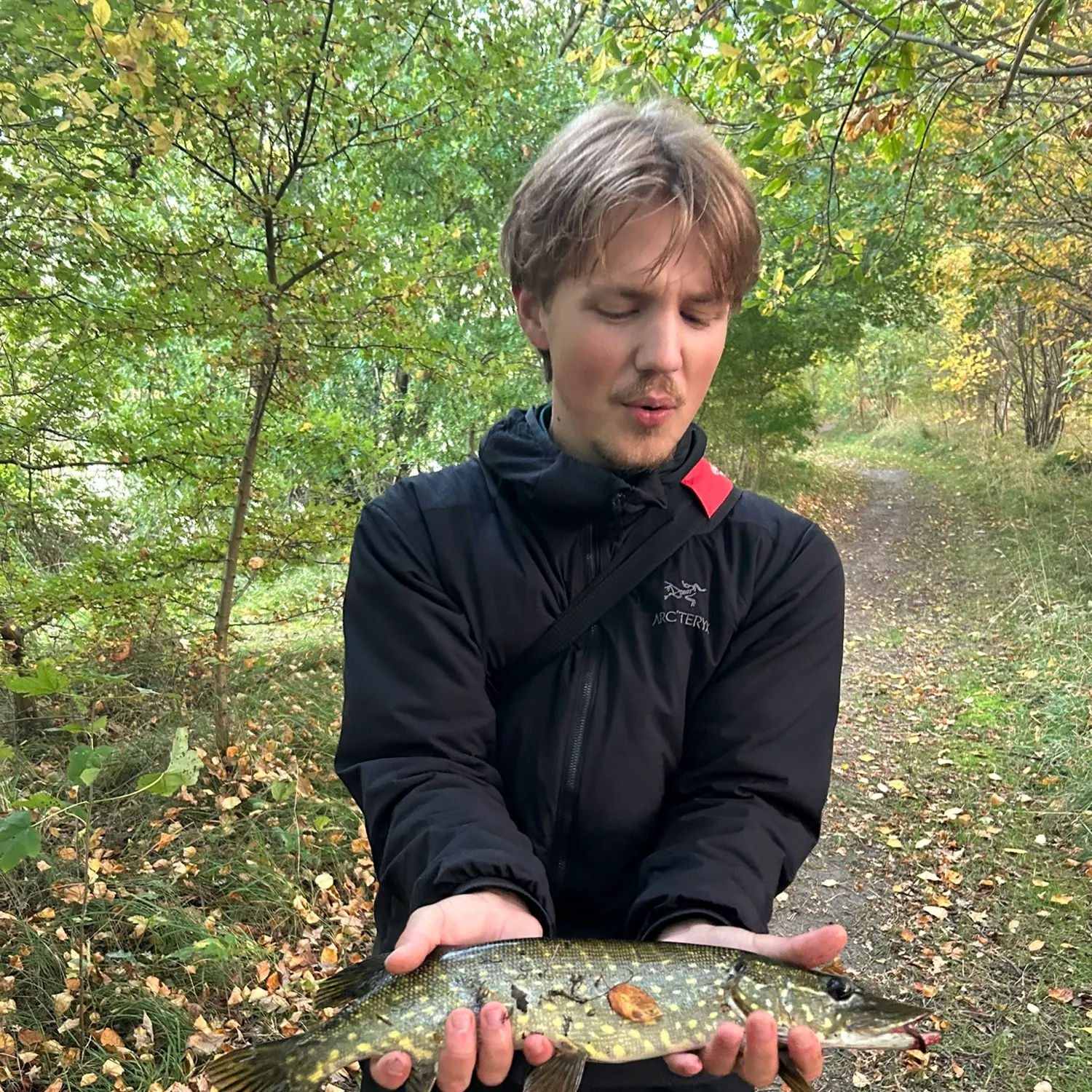 Northern pike caught on Fishbrain