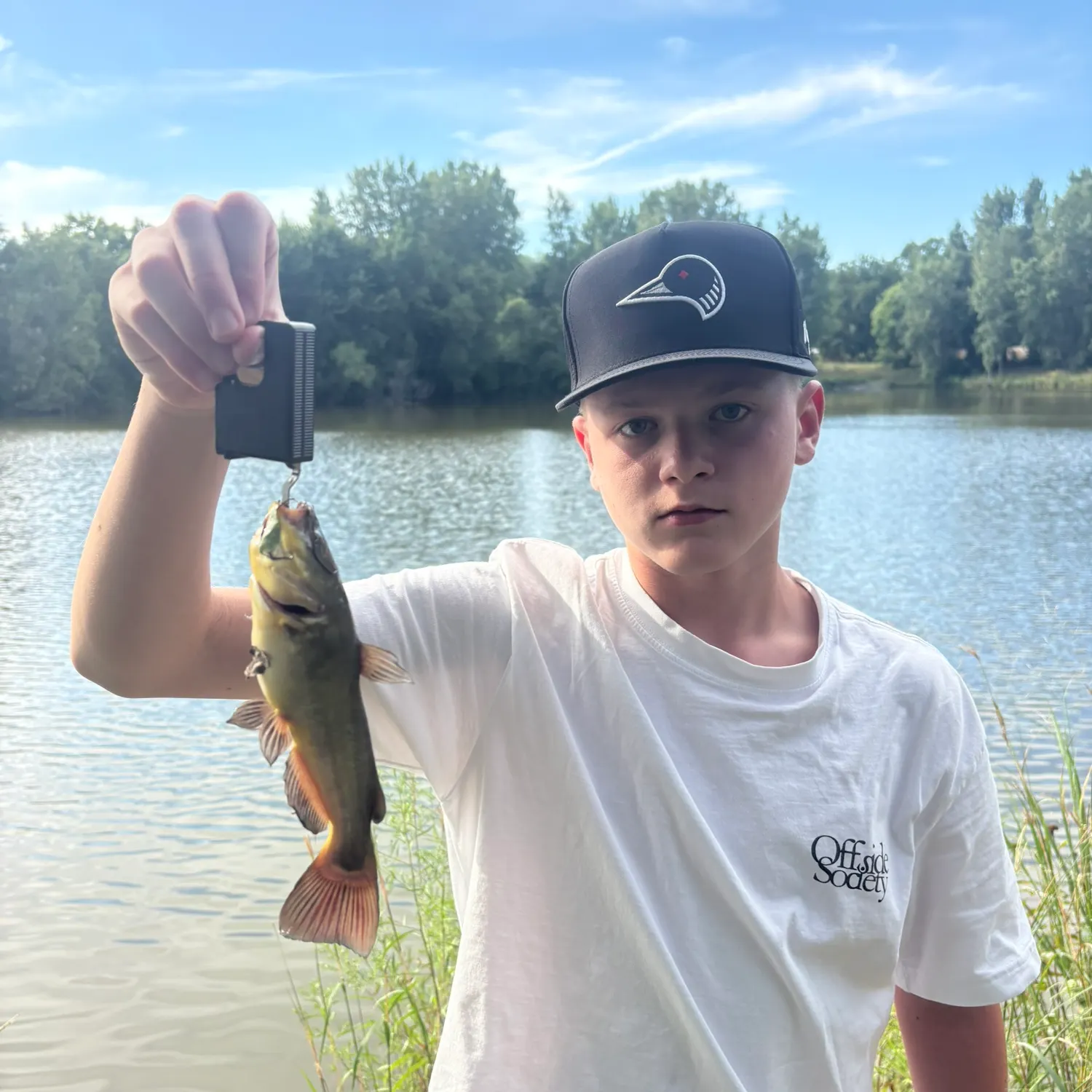 Yellow bullhead caught on Fishbrain