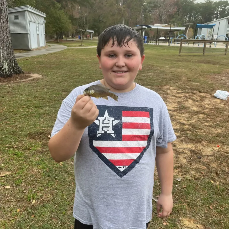 The most recent Bluegill catches on Fishbrain