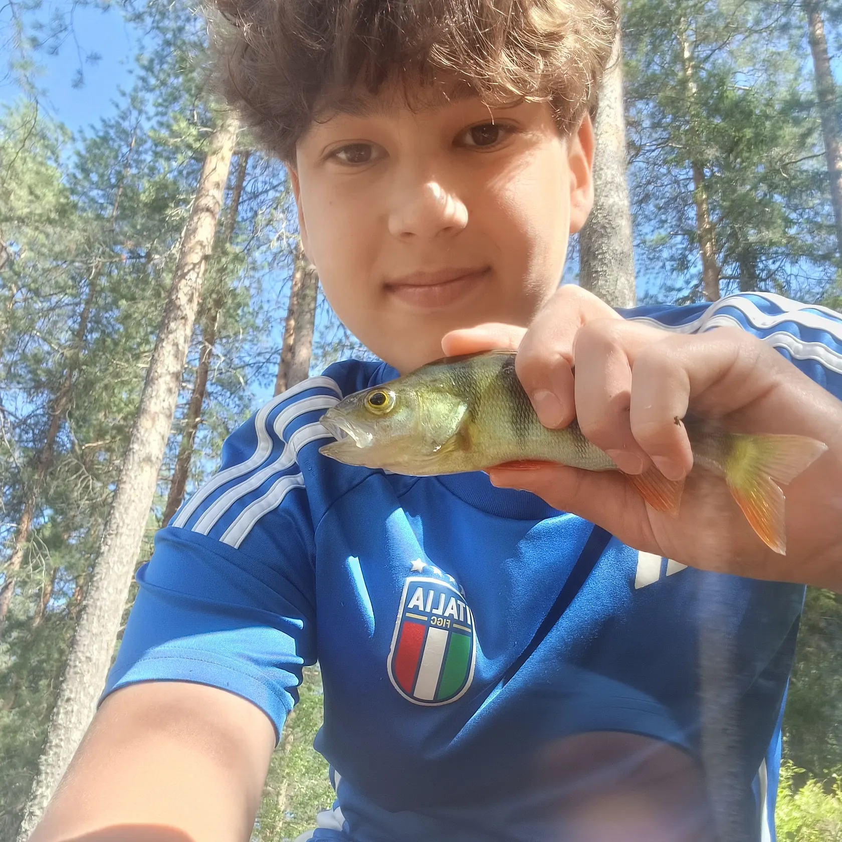 European perch caught on Fishbrain