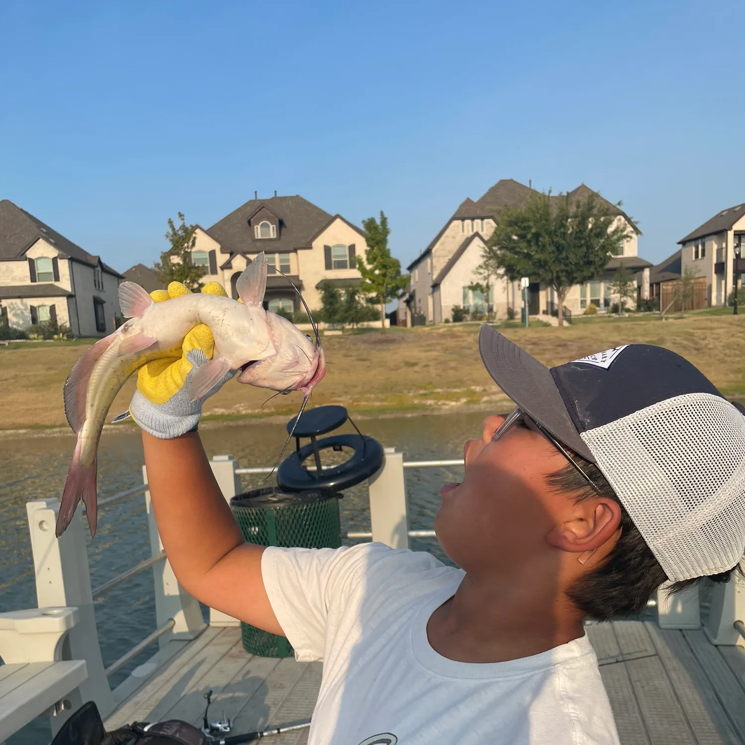 Channel catfish caught on Fishbrain
