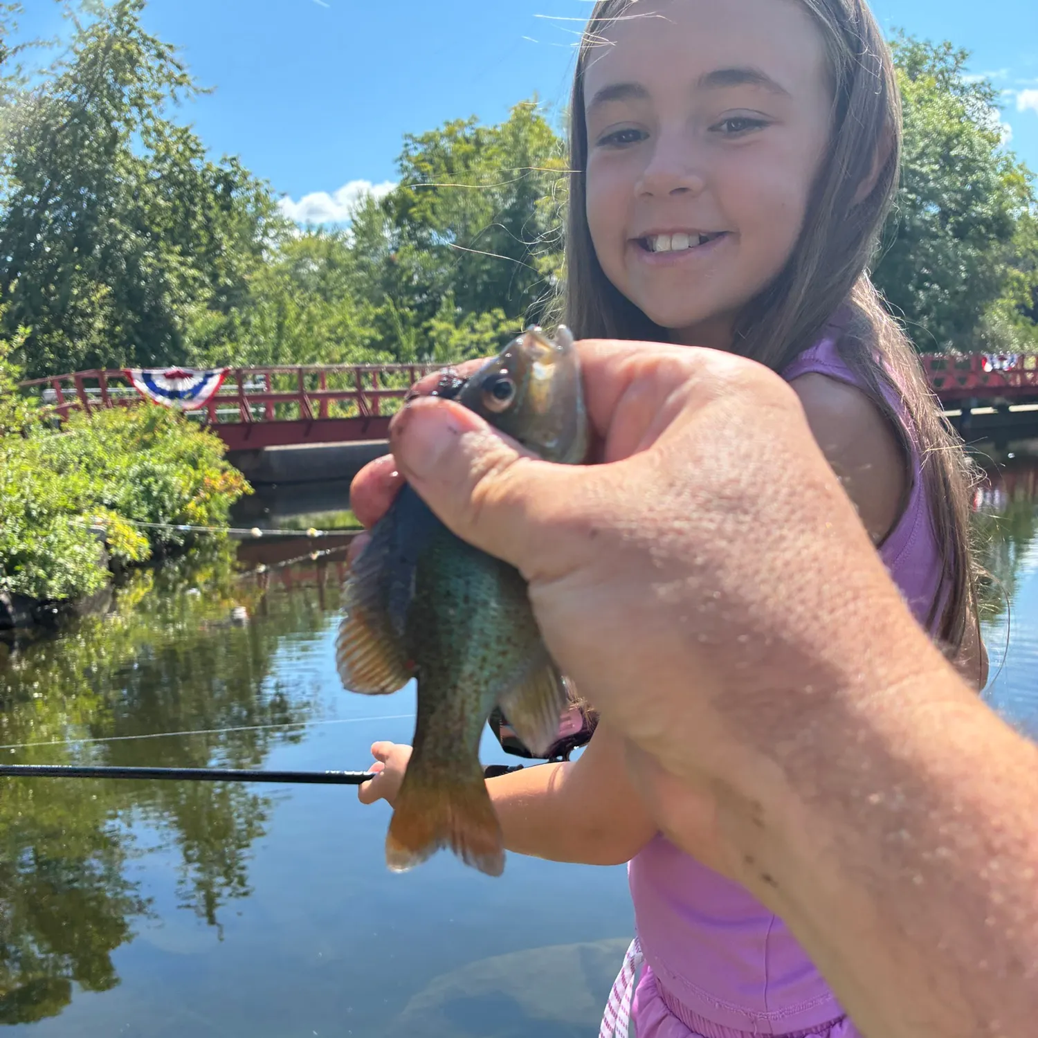 Redbreast sunfish caught on Fishbrain