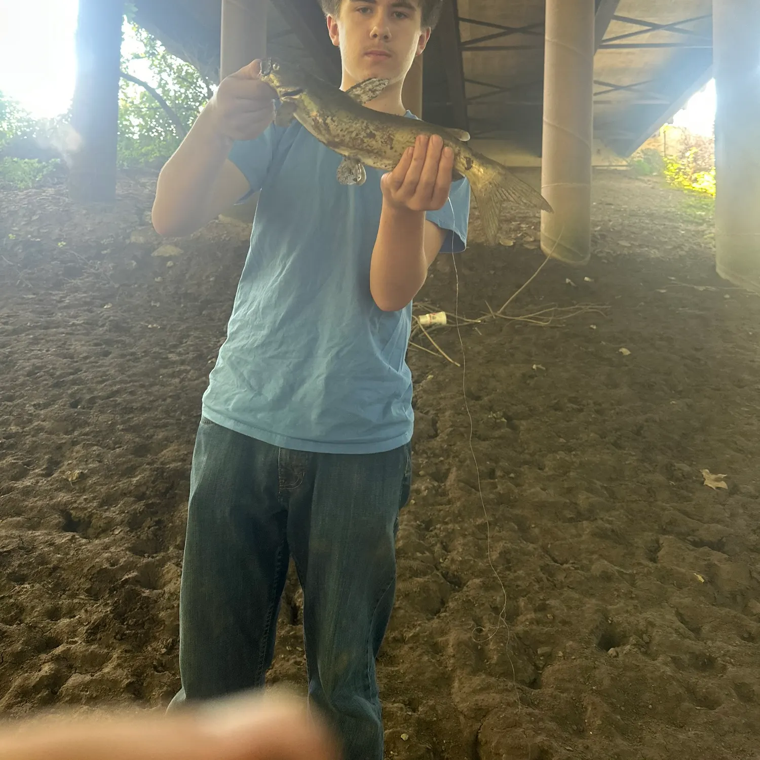 Channel catfish caught on Fishbrain