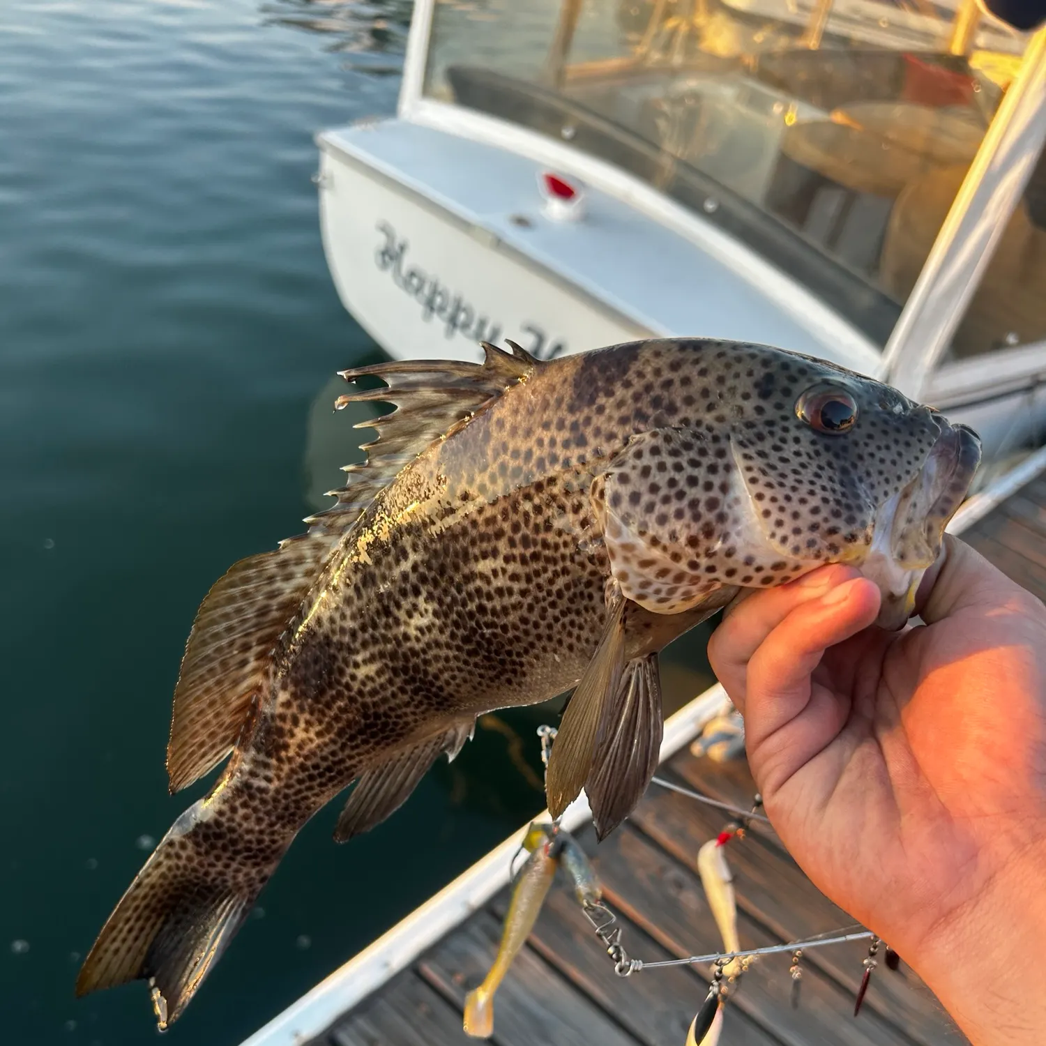 catch