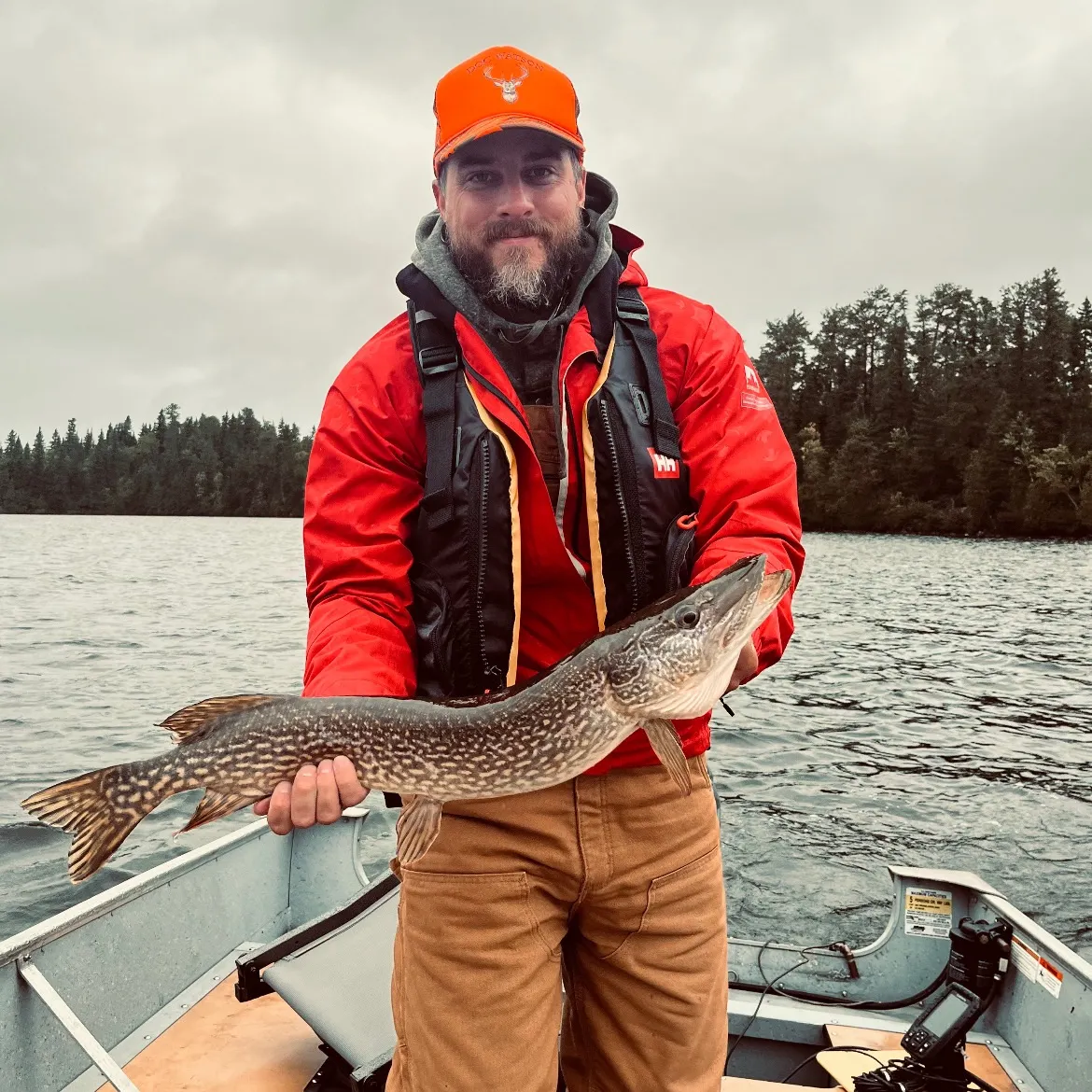Northern pike caught on Fishbrain