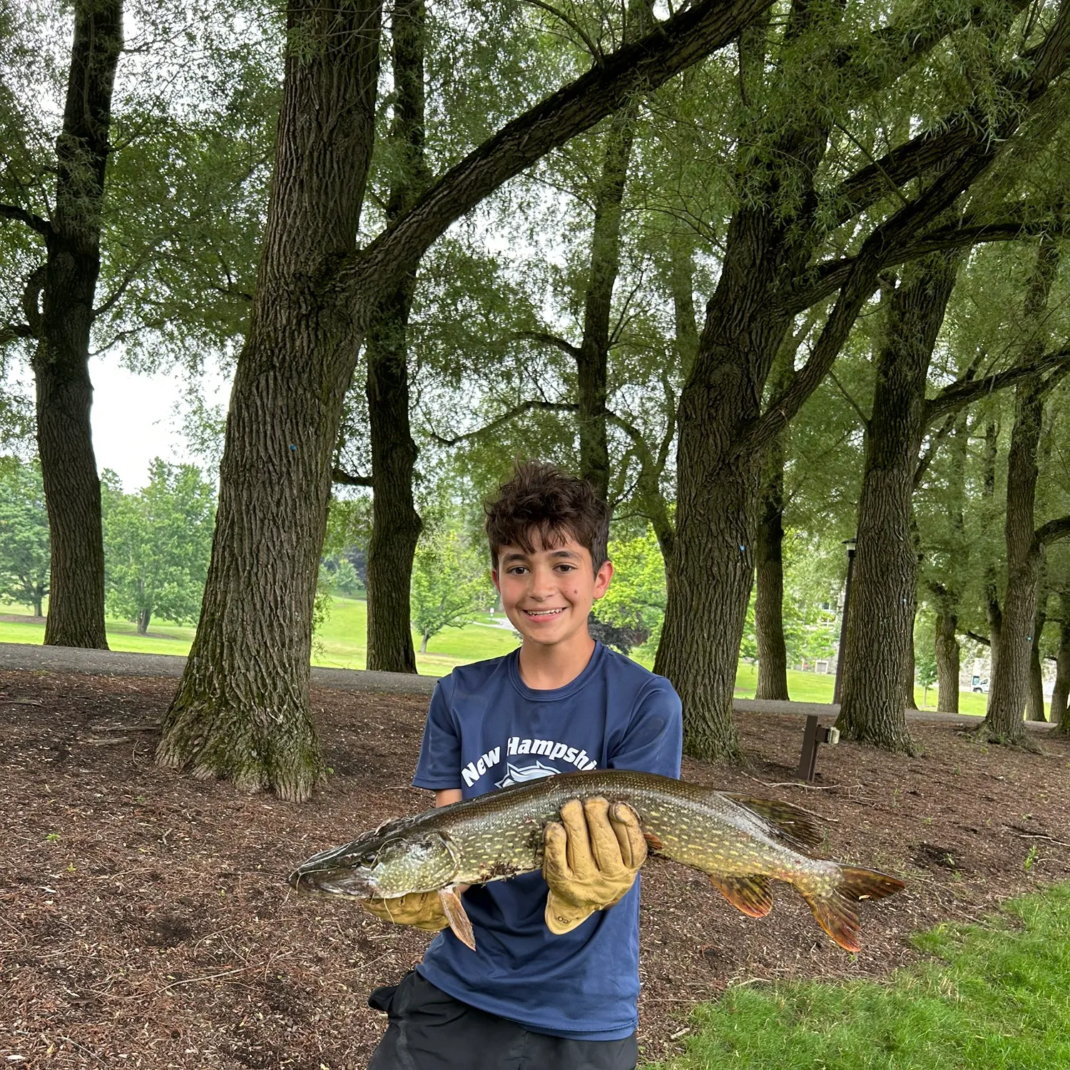 catch