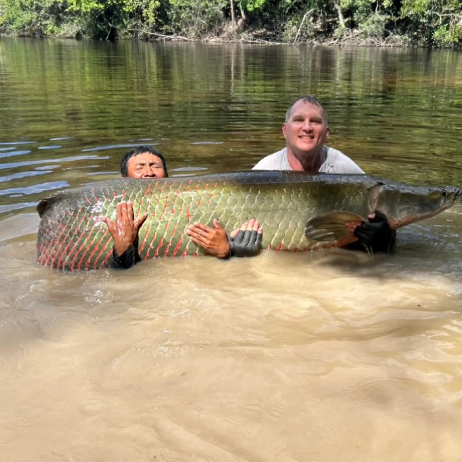 The most recent Arapaima catches on Fishbrain