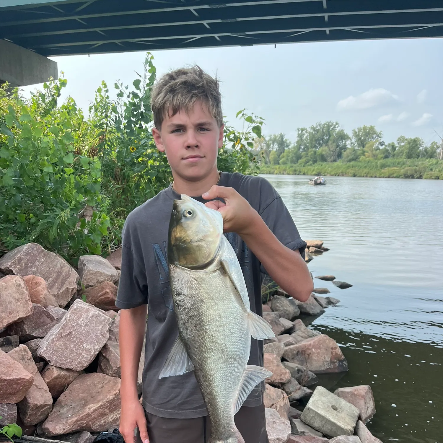 Bighead carp caught on Fishbrain