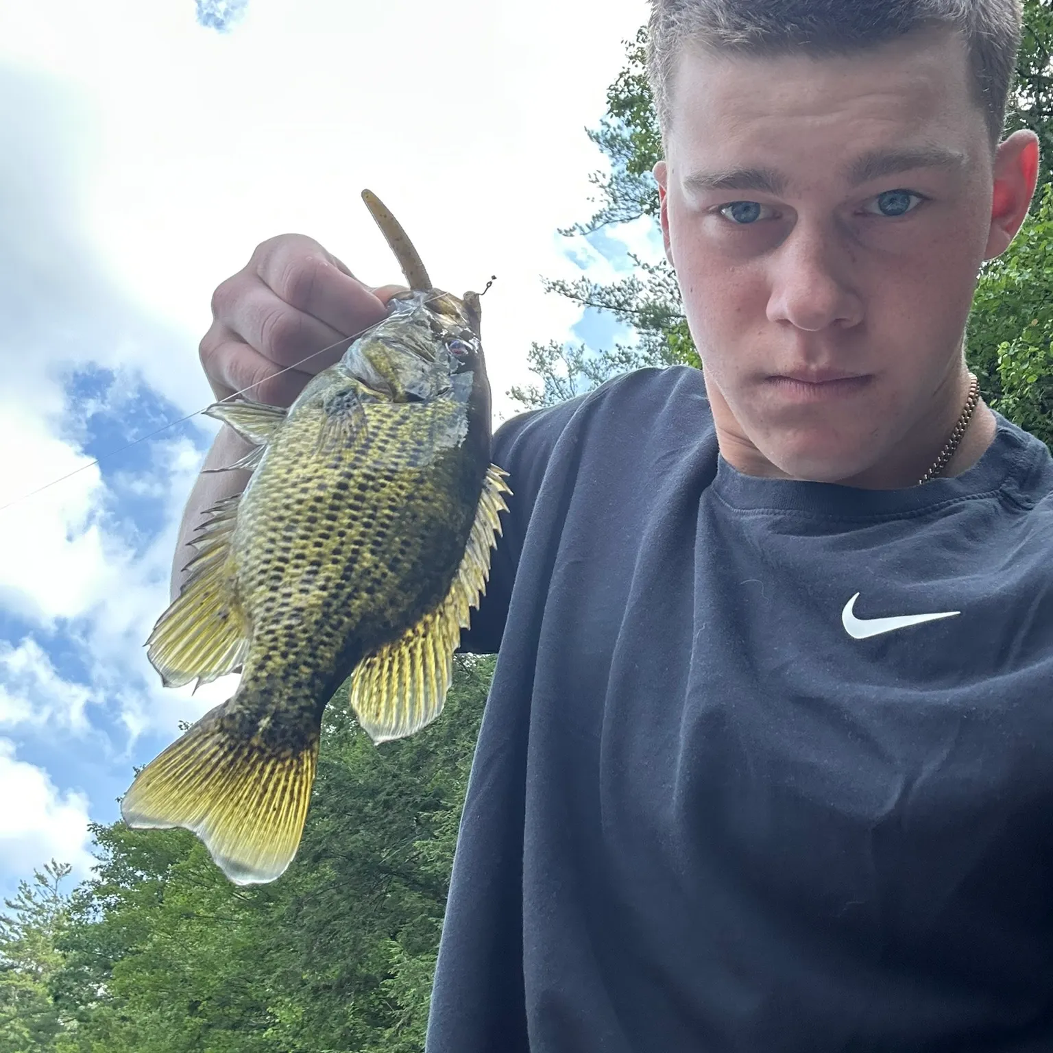 The most recent Rock bass catches on Fishbrain