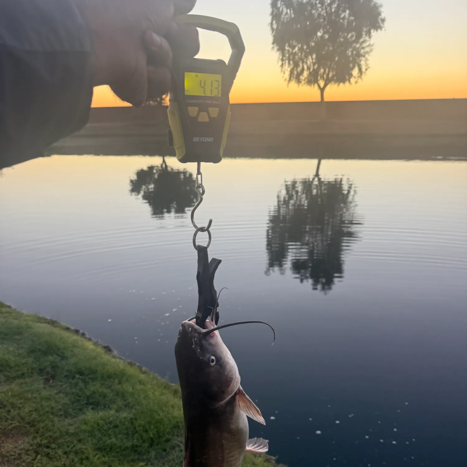 catch