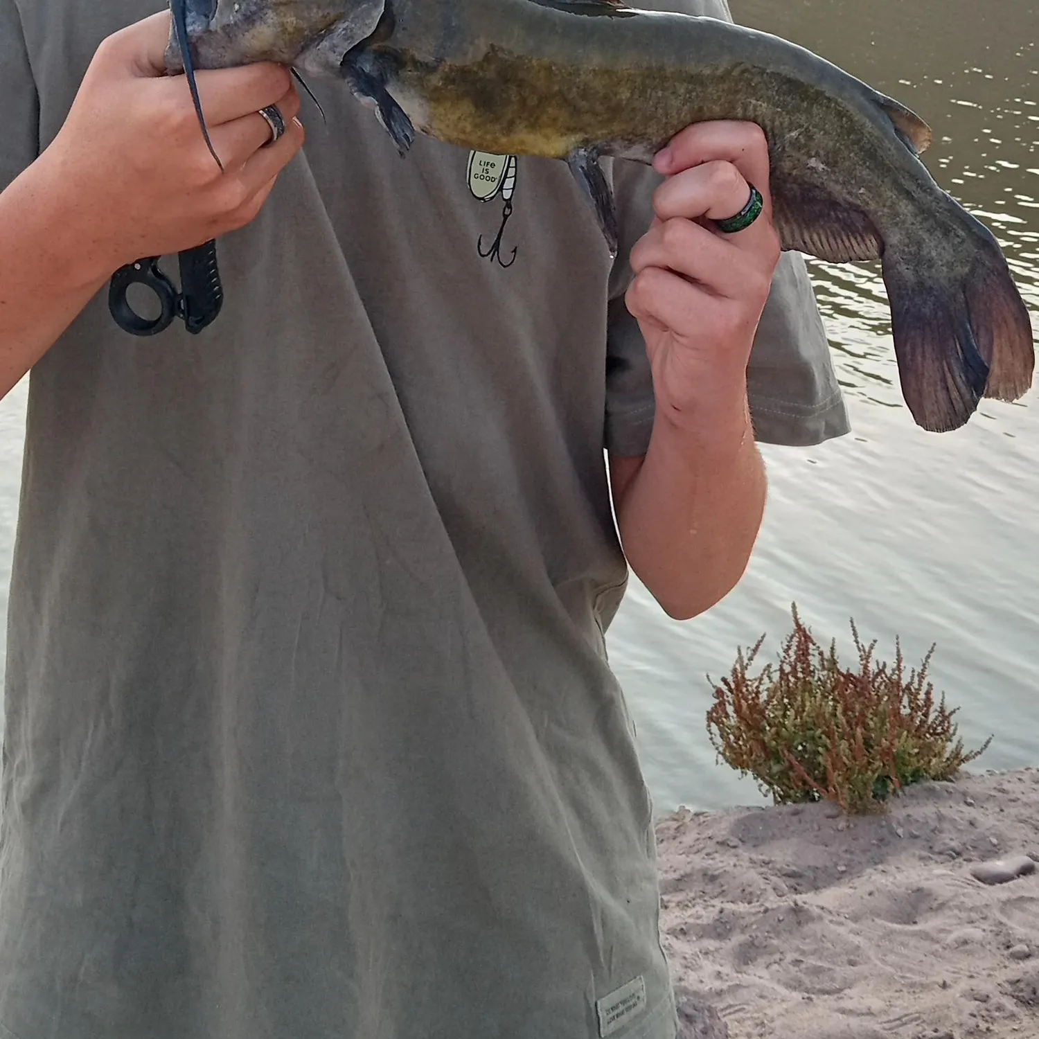 catch