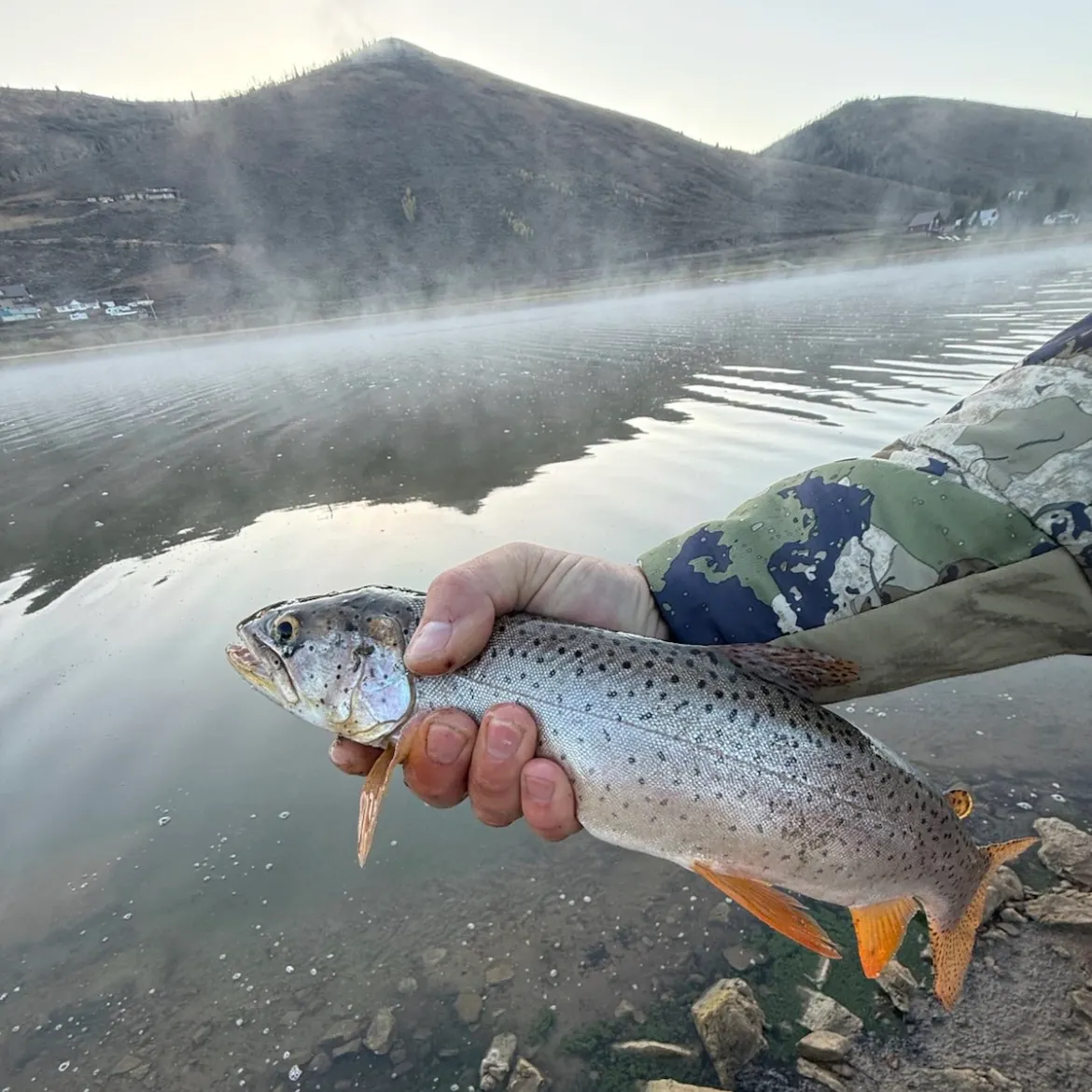 Bear Lake cutthroat trout caught on Fishbrain