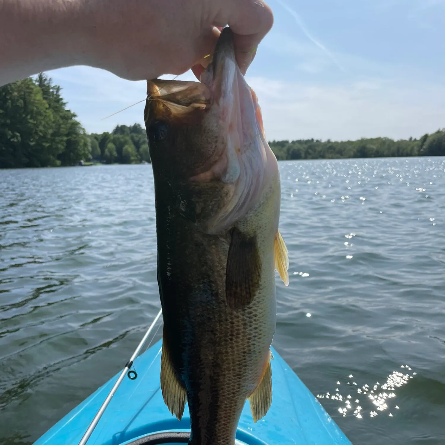 angler catch