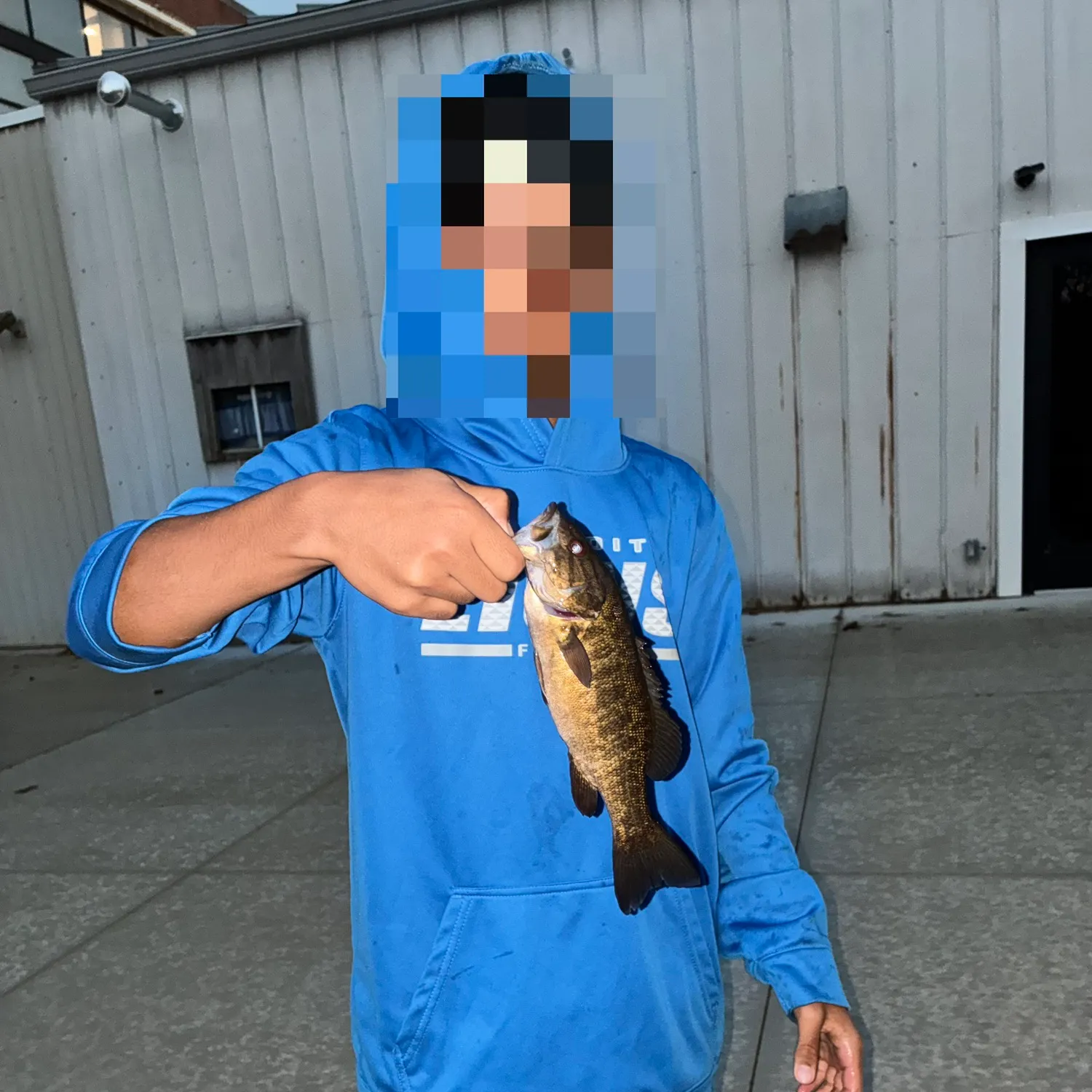 The most recent Smallmouth bass catches on Fishbrain