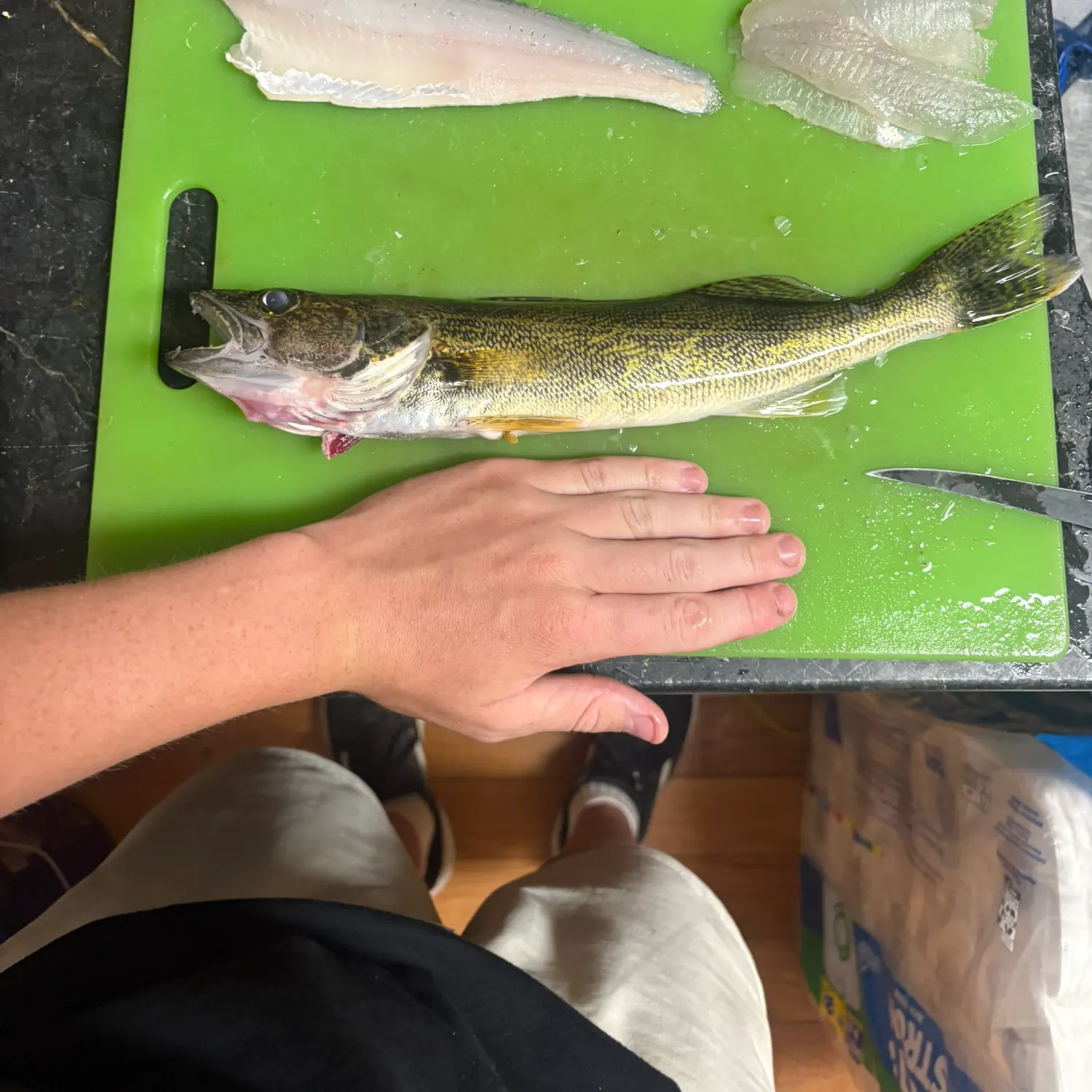 The most recent Saugeye catches on Fishbrain