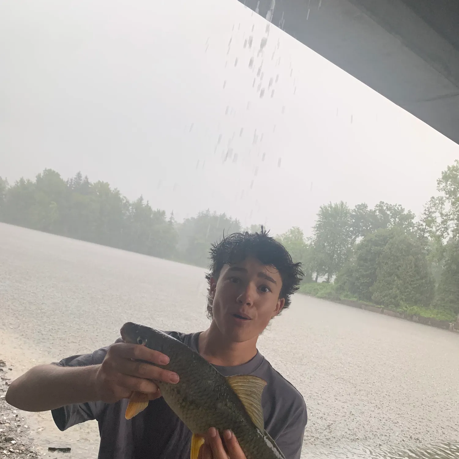 The most recent Copper redhorse catches on Fishbrain